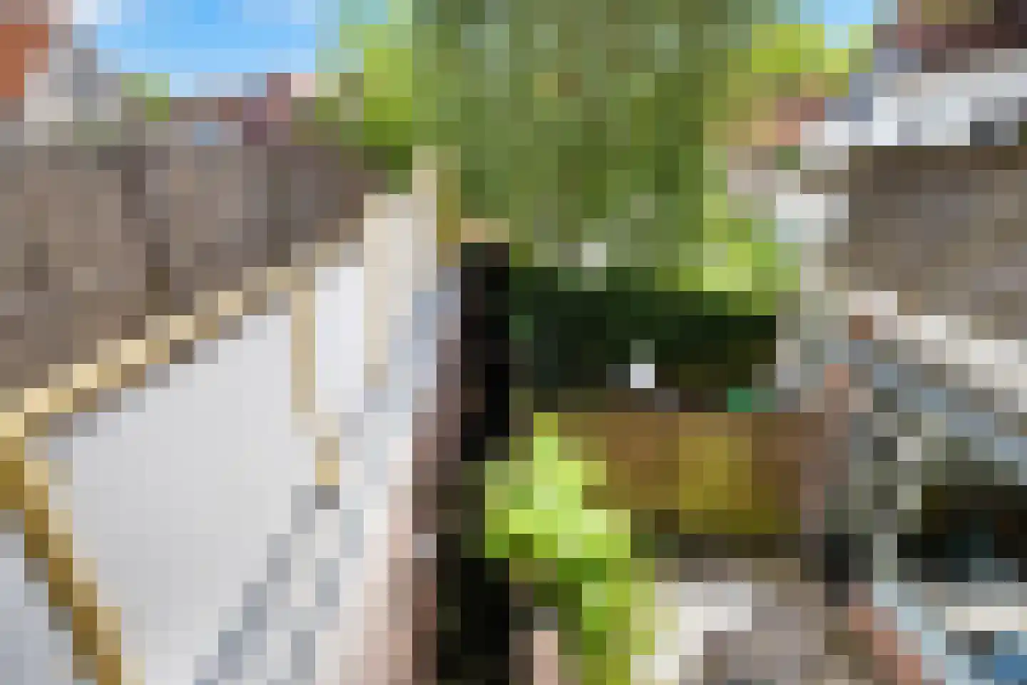 Lange Groenendaal 107 Gouda thumbnail 42
