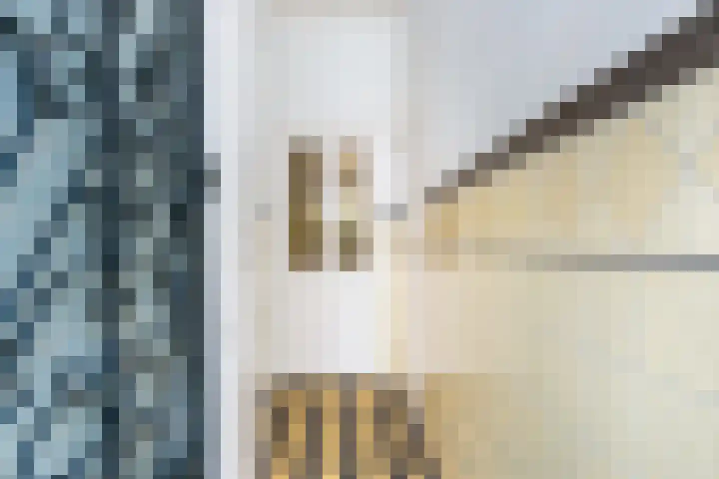 Lange Groenendaal 107 Gouda thumbnail 8