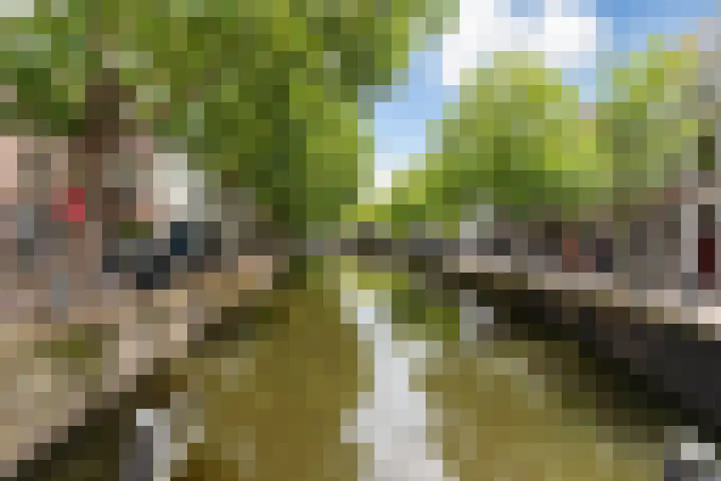 Lange Groenendaal 118 Gouda thumbnail 52