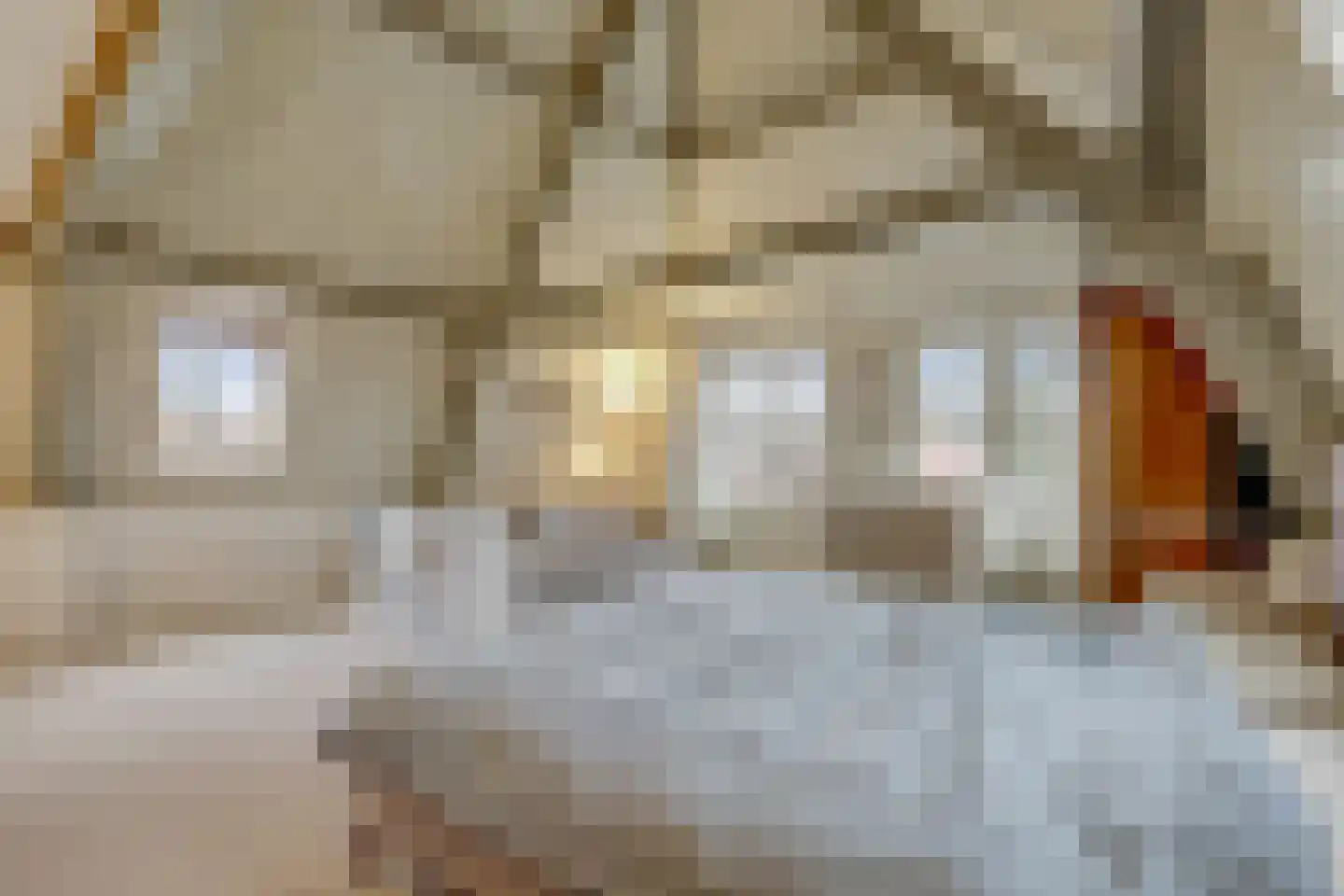 Lange Groenendaal 47 Gouda thumbnail 31