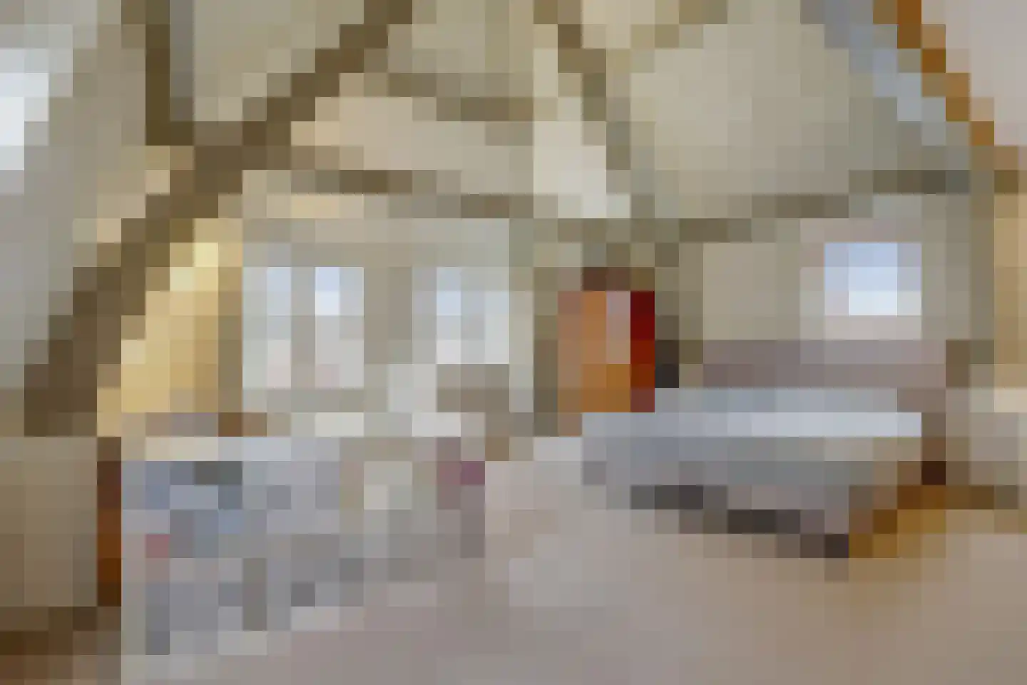 Lange Groenendaal 47 Gouda thumbnail 32