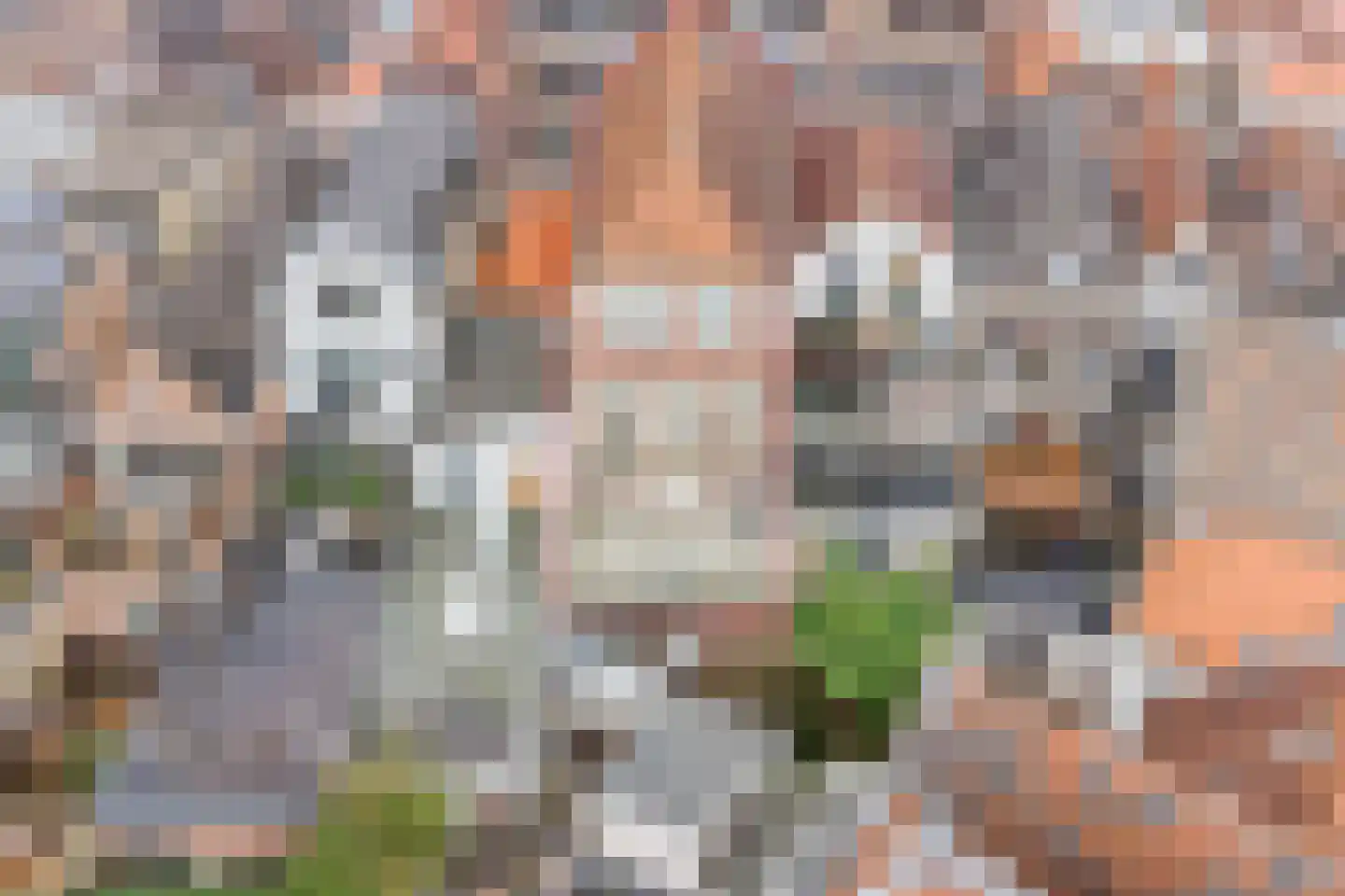 Lange Groenendaal 47 Gouda thumbnail 5