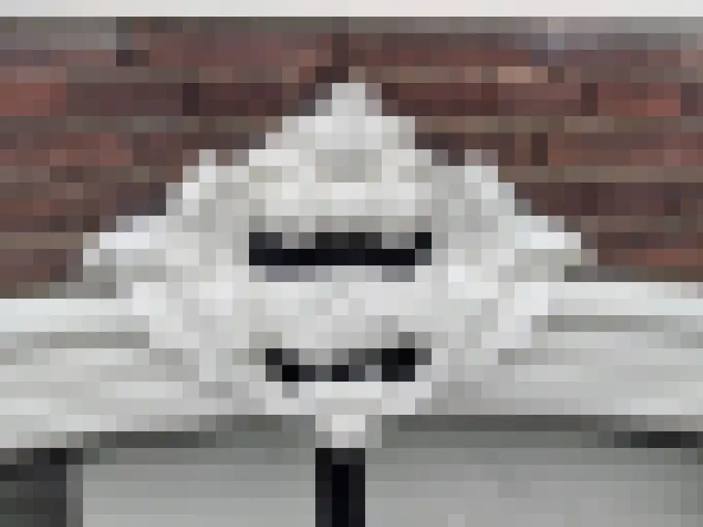 Lange Groenendaal 47 Gouda thumbnail 54