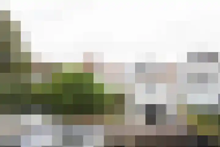 Lange Groenendaal 68 d Gouda thumbnail 5