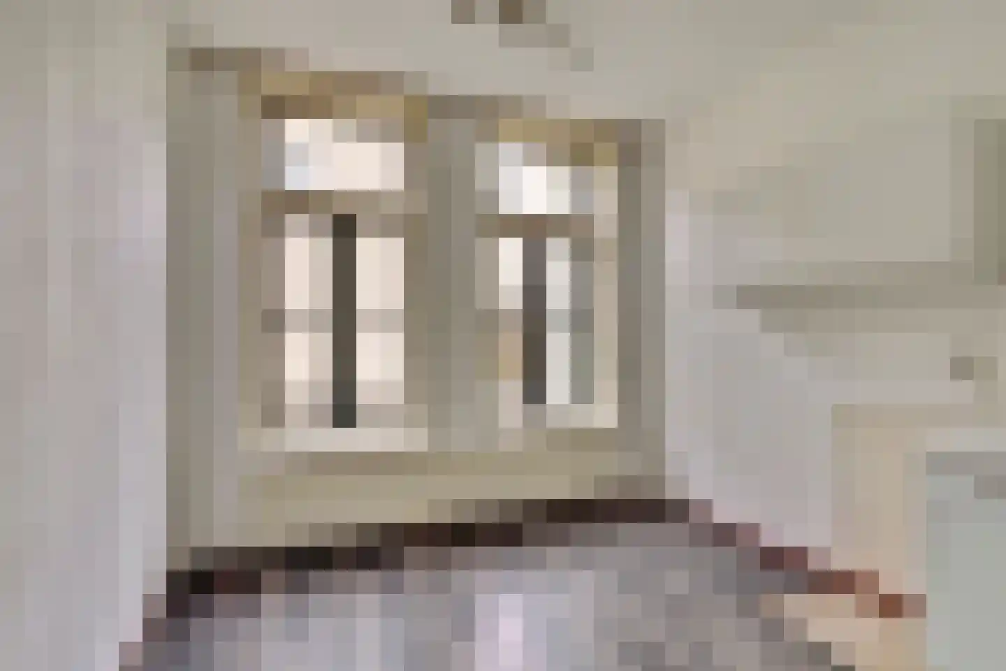 Lange Groenendaal 70 Gouda thumbnail 13