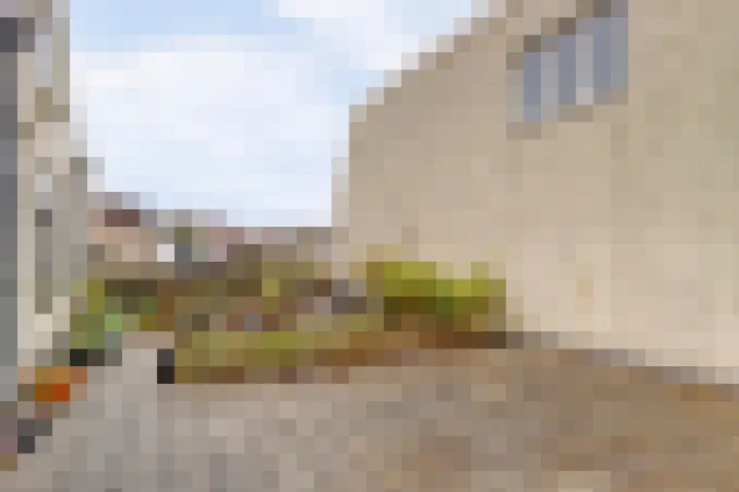 Lange Groenendaal 70 Gouda thumbnail 25