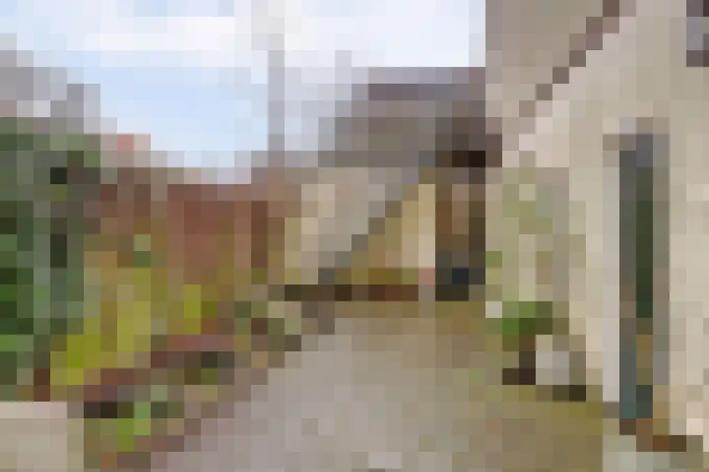 Lange Groenendaal 70 Gouda thumbnail 27