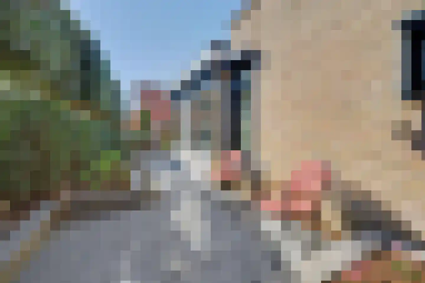 Lange Groeneweg 41 Spijkenisse thumbnail 45