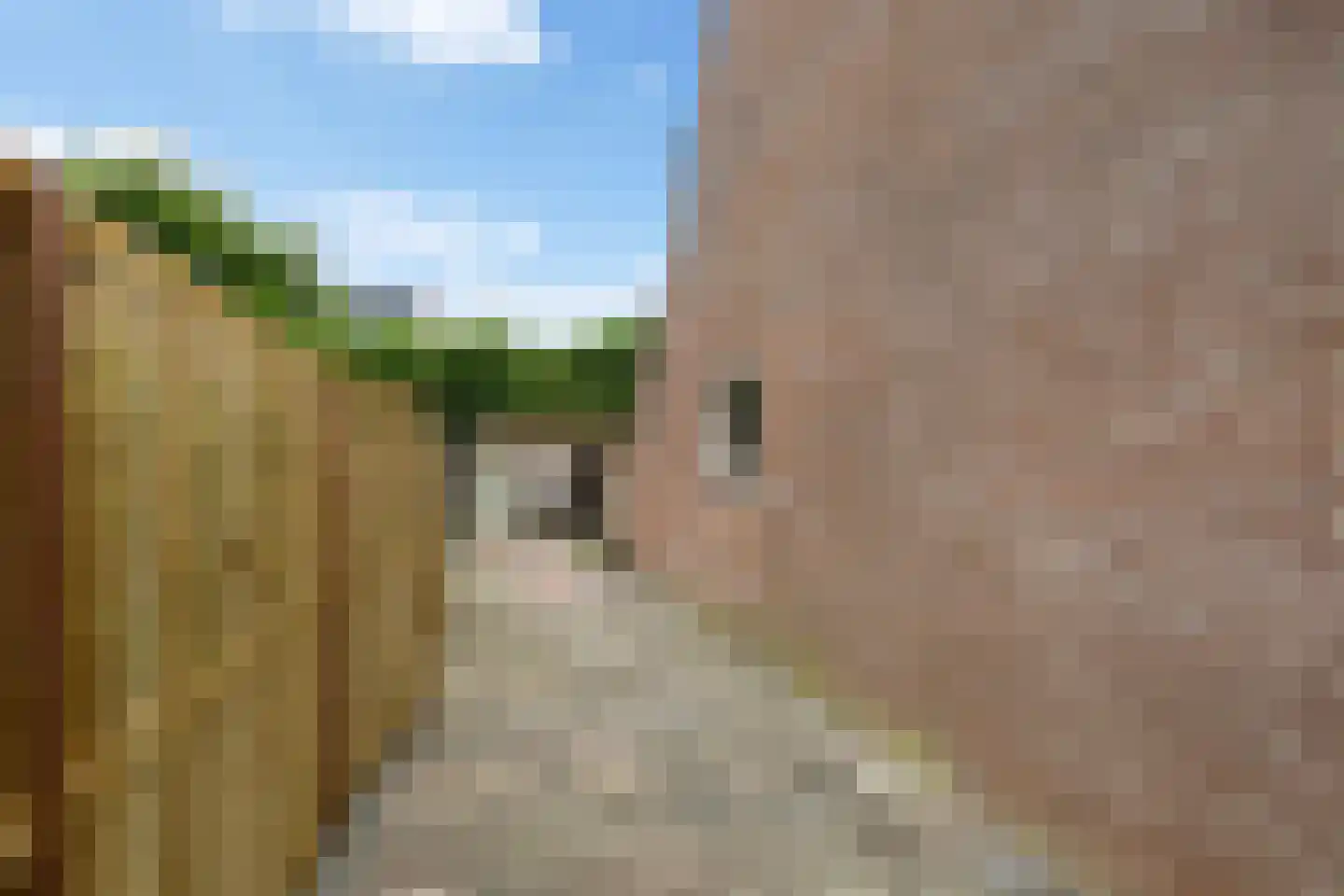 Lange Haeg 101 Ermelo thumbnail 31