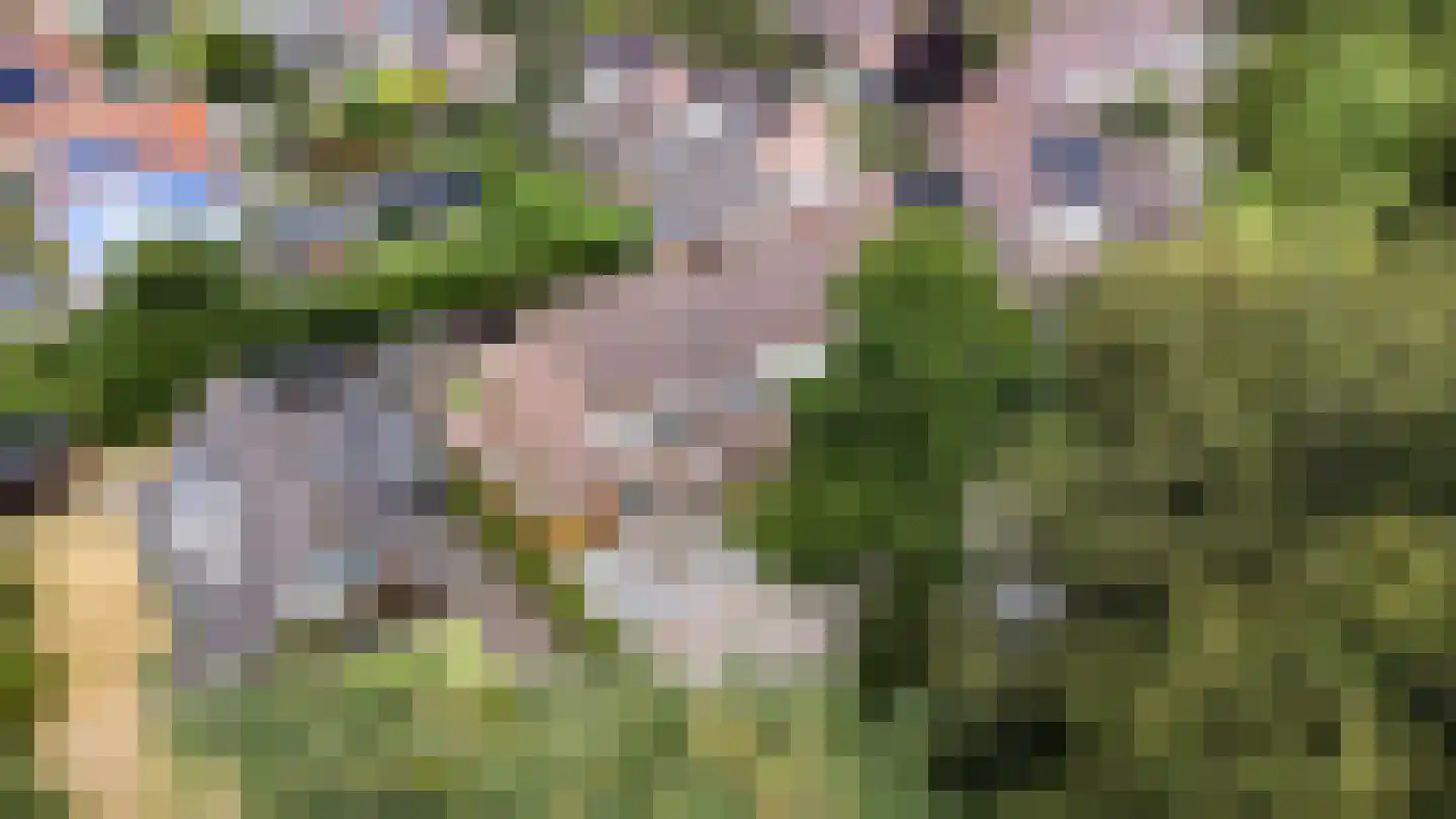 Lange Haeg 101 Ermelo thumbnail 33