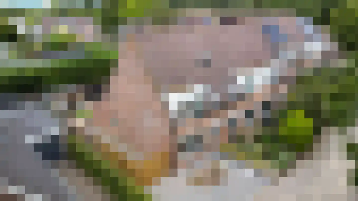 Lange Haeg 101 Ermelo thumbnail 6
