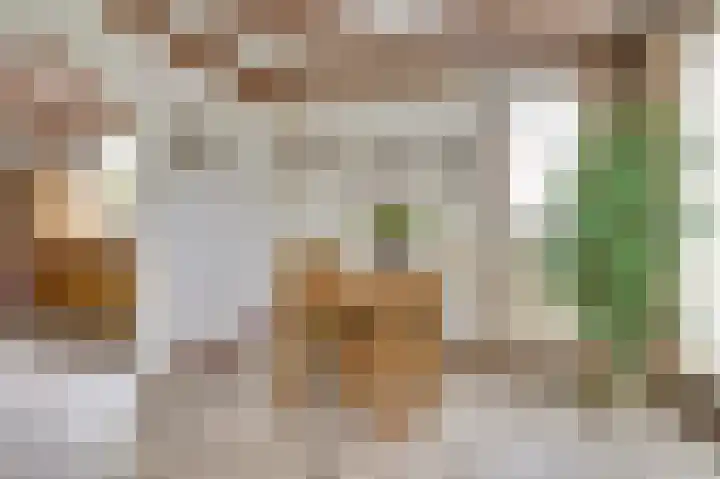 Lange Haeg 12 Ermelo thumbnail 12