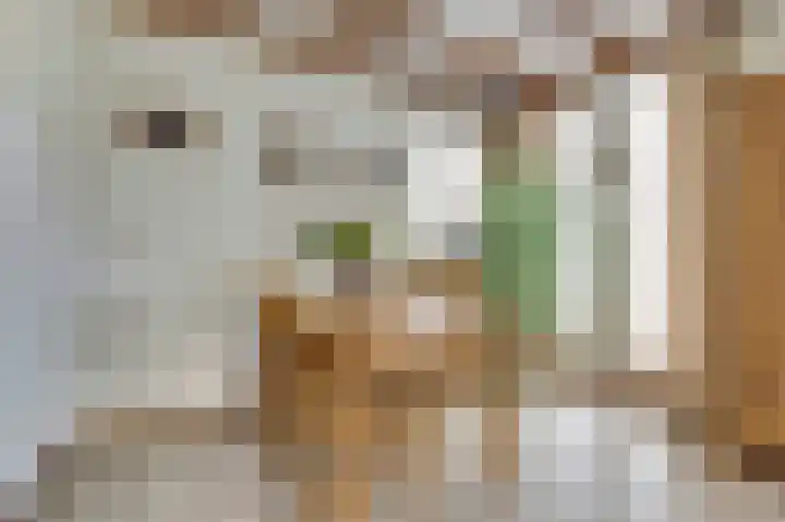 Lange Haeg 12 Ermelo thumbnail 13