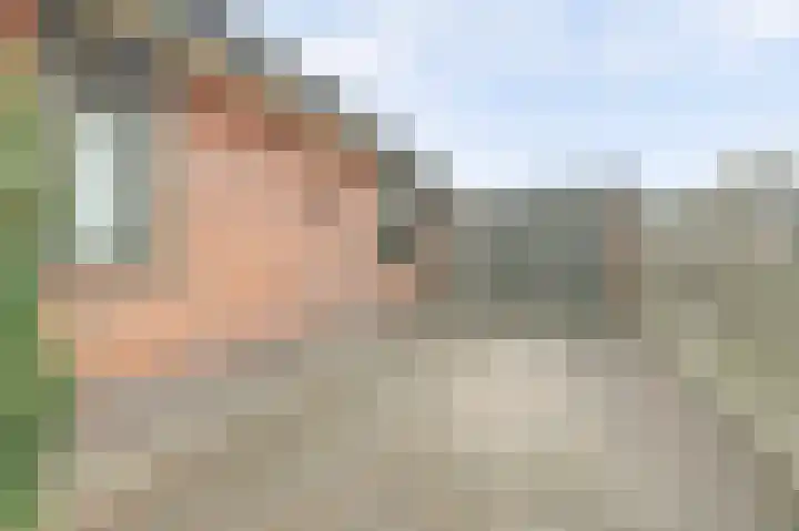 Lange Haeg 12 Ermelo thumbnail 34