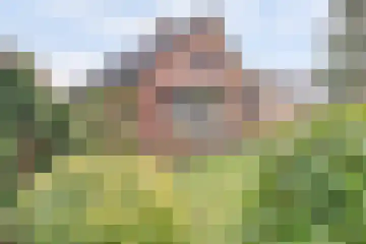 Lange Haeg 12 Ermelo thumbnail 36