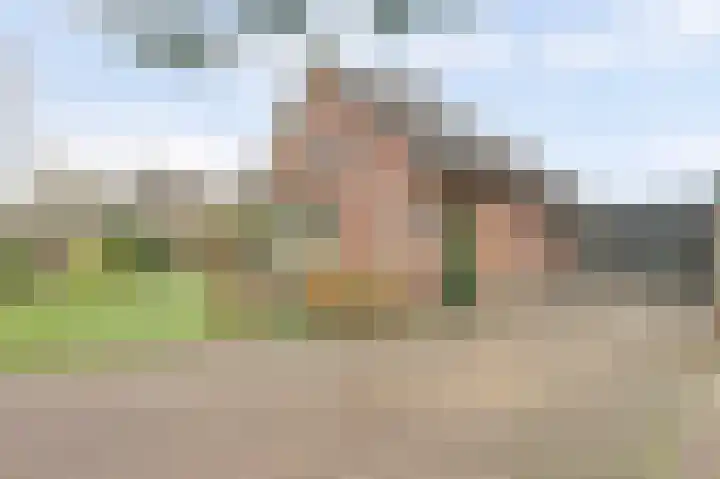 Lange Haeg 12 Ermelo thumbnail 42