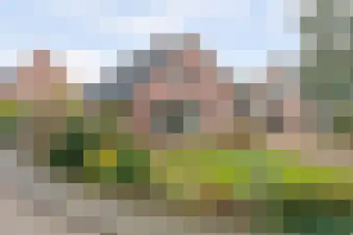 Lange Haeg 12 Ermelo thumbnail 46