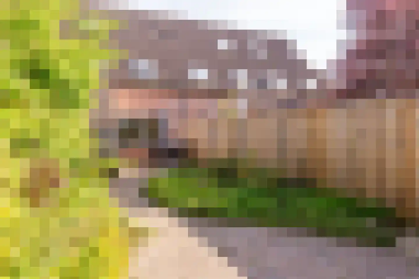 Lange Haeg 123 Ermelo thumbnail 31