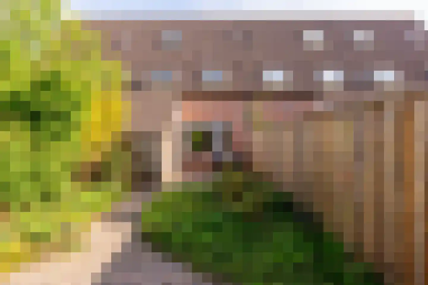 Lange Haeg 123 Ermelo thumbnail 34