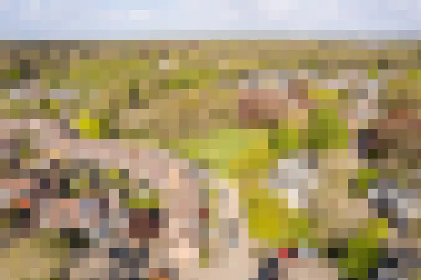 Lange Haeg 123 Ermelo thumbnail 43