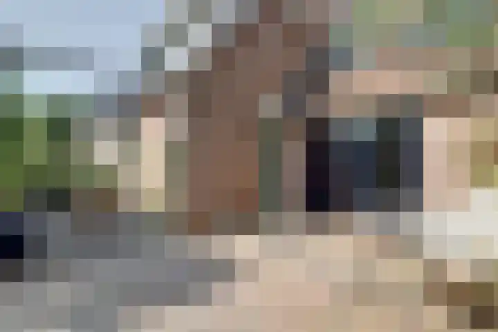Lange Haeg 13 Ermelo thumbnail 24