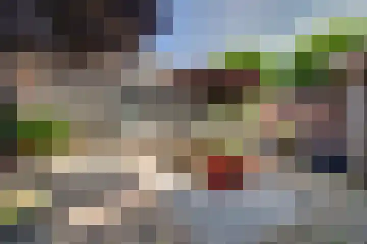 Lange Haeg 13 Ermelo thumbnail 26
