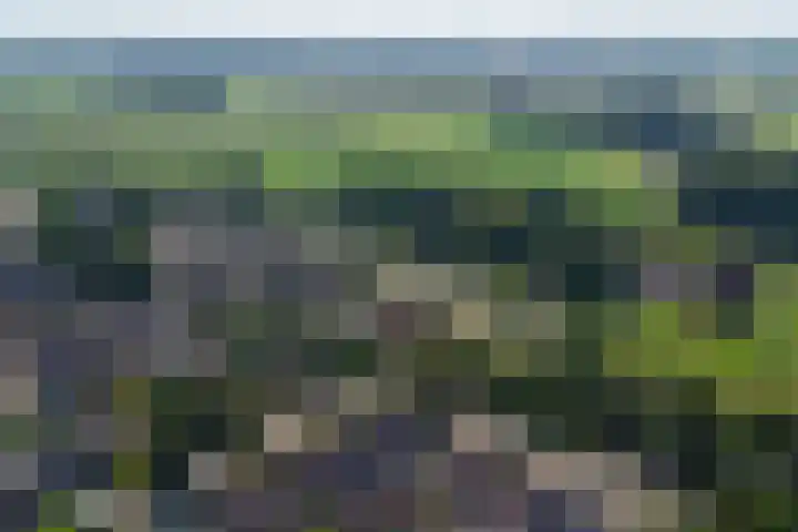 Lange Haeg 13 Ermelo thumbnail 31