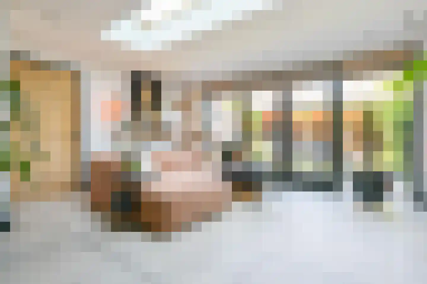 Lange Haeg 199 Ermelo thumbnail 16