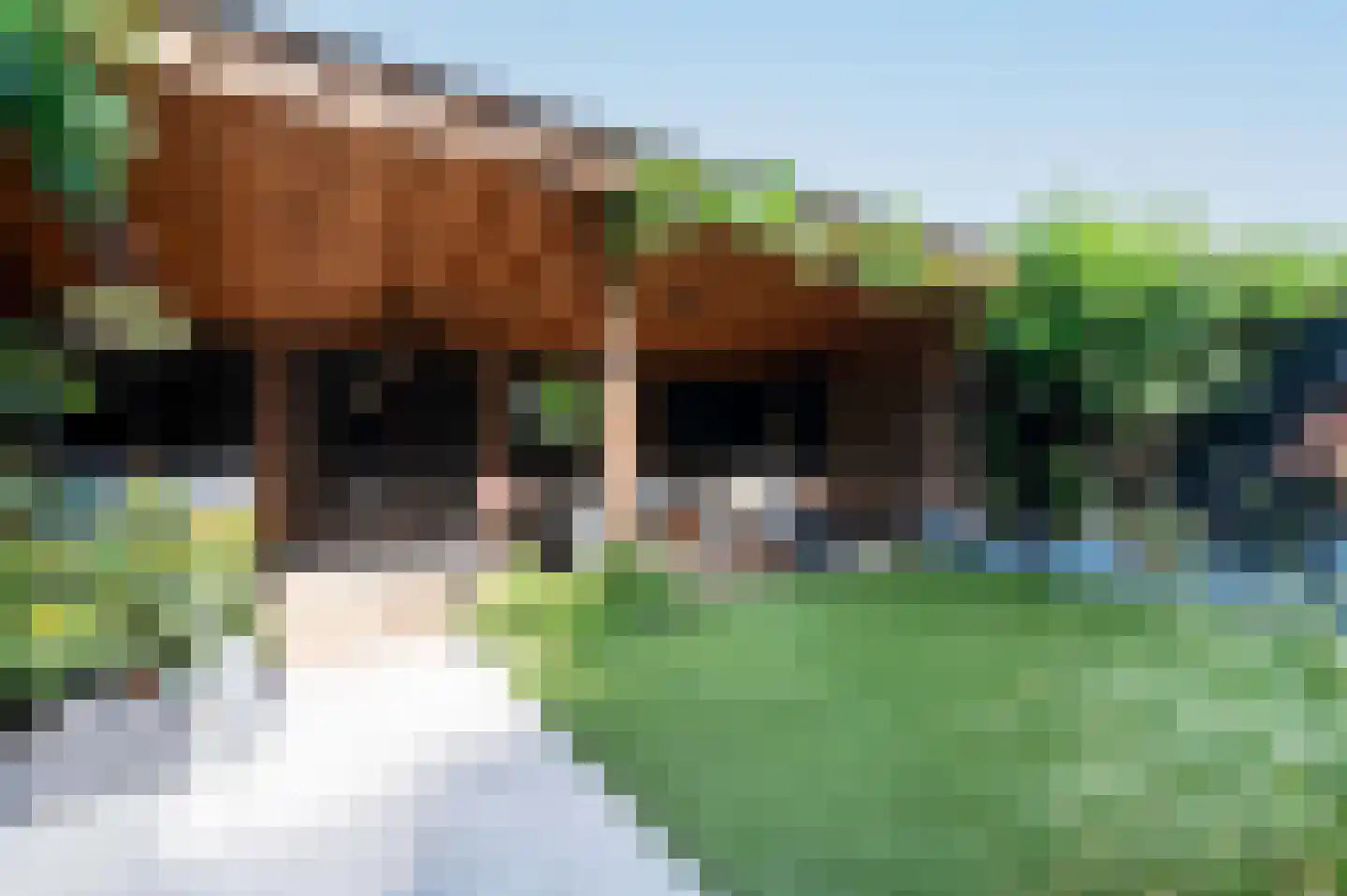 Lange Haeg 199 Ermelo thumbnail 34