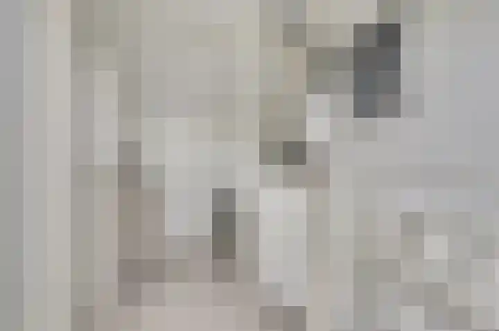 Lange Haeg 56 Ermelo thumbnail 26