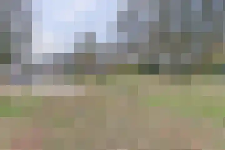 Lange Haeg 56 Ermelo thumbnail 40