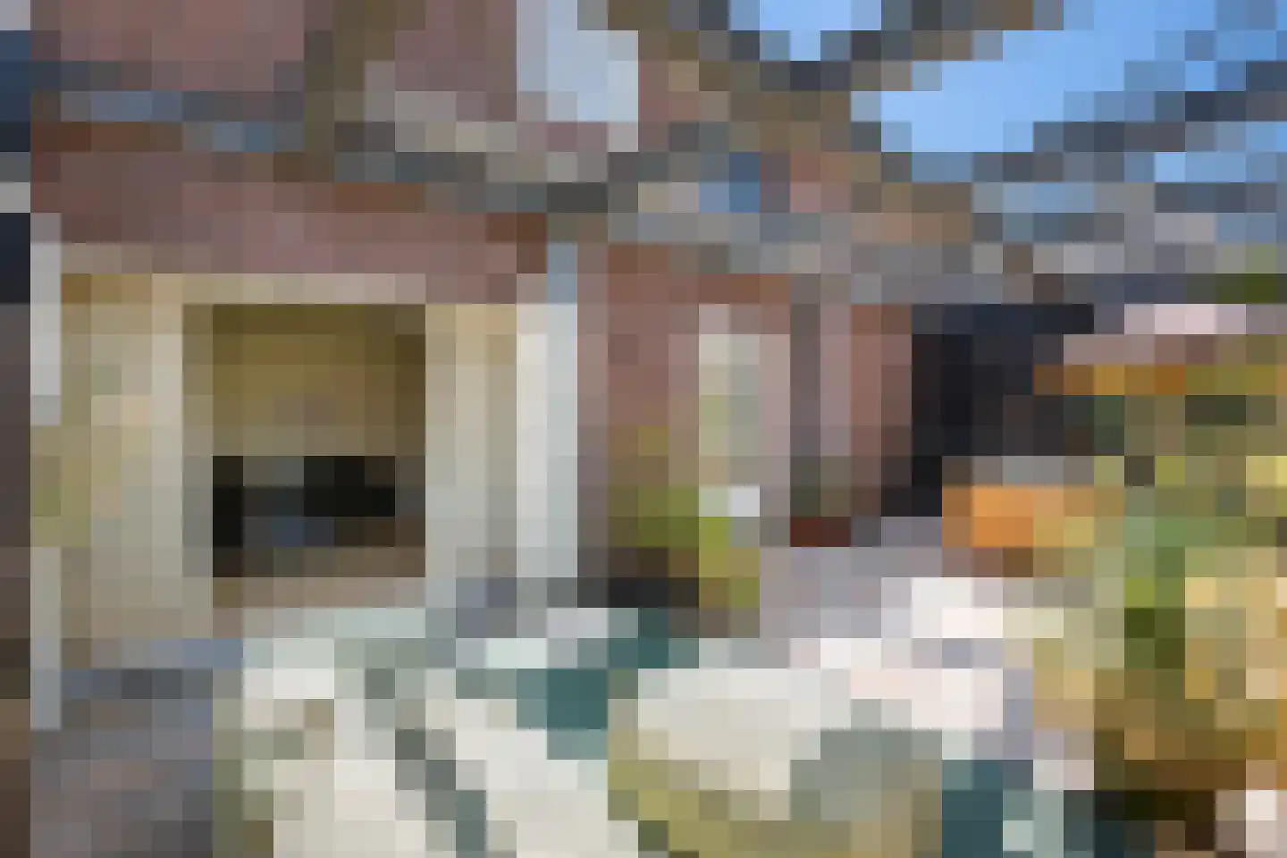 Lange Haven 142 Schiedam thumbnail 48