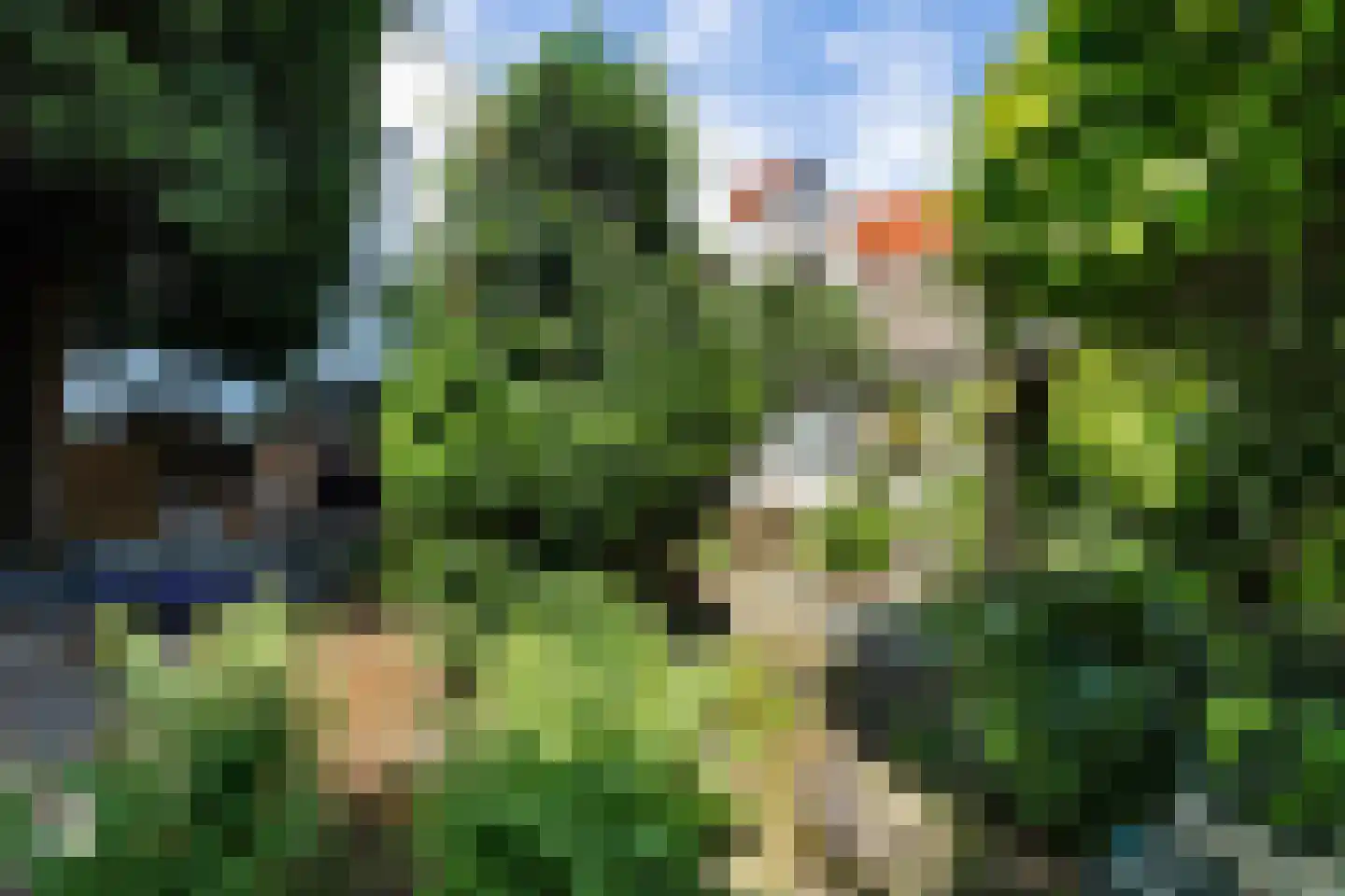 Lange Haven 29 Schiedam thumbnail 24