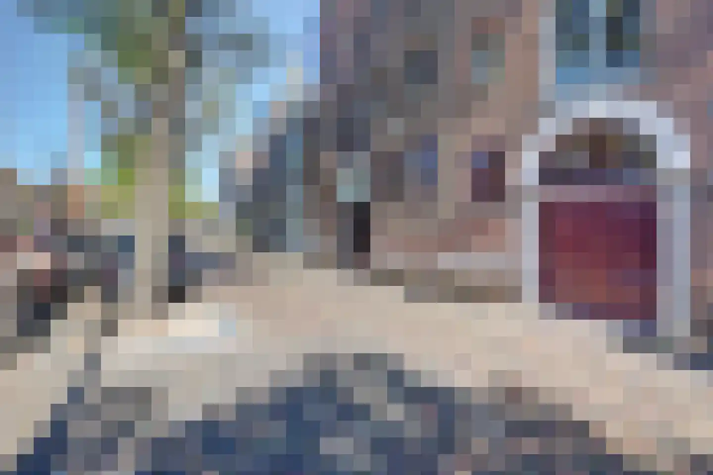 Lange Haven 57 A Schiedam thumbnail 24