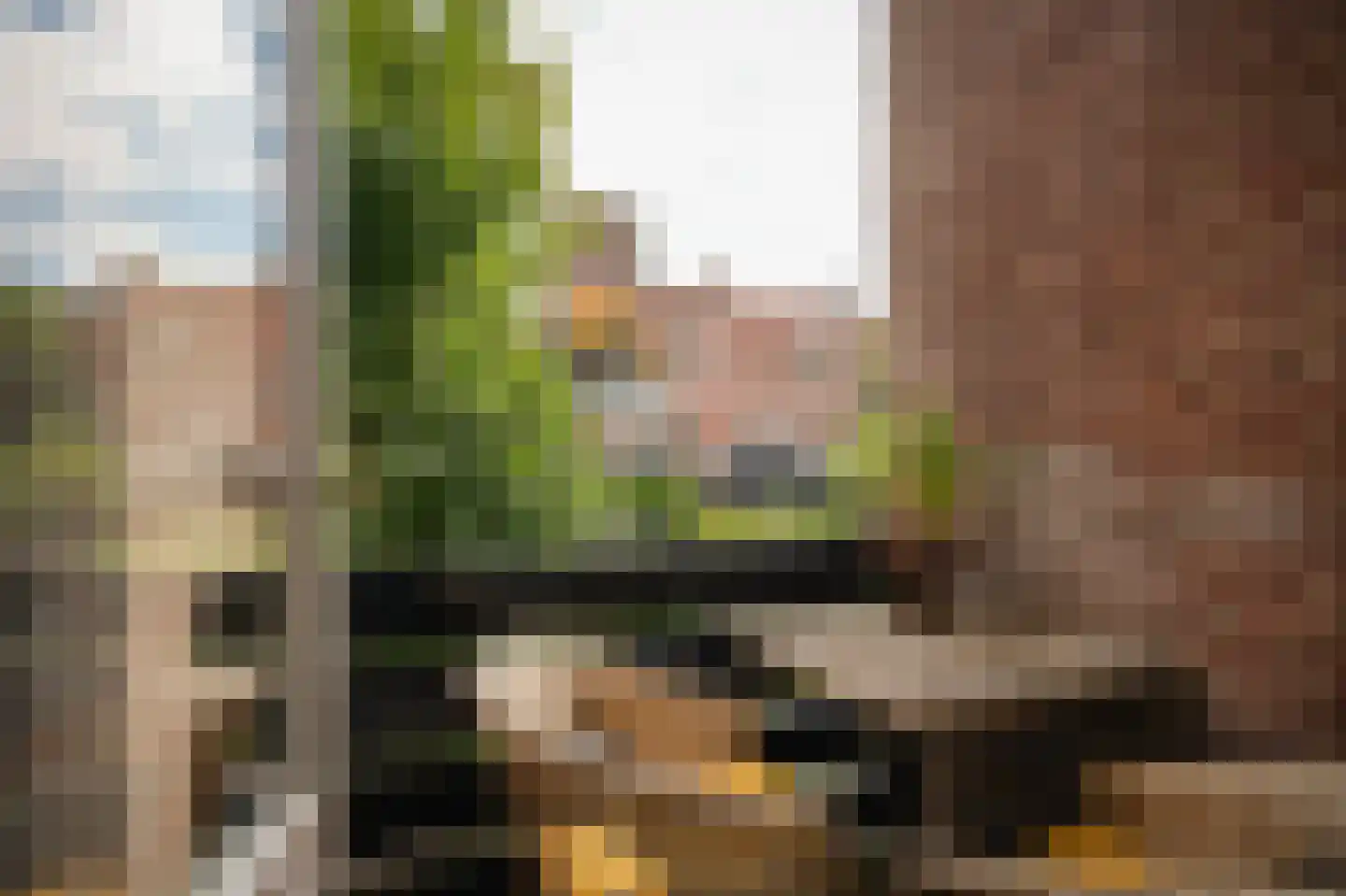 Lange Havendijk 2 Culemborg thumbnail 10