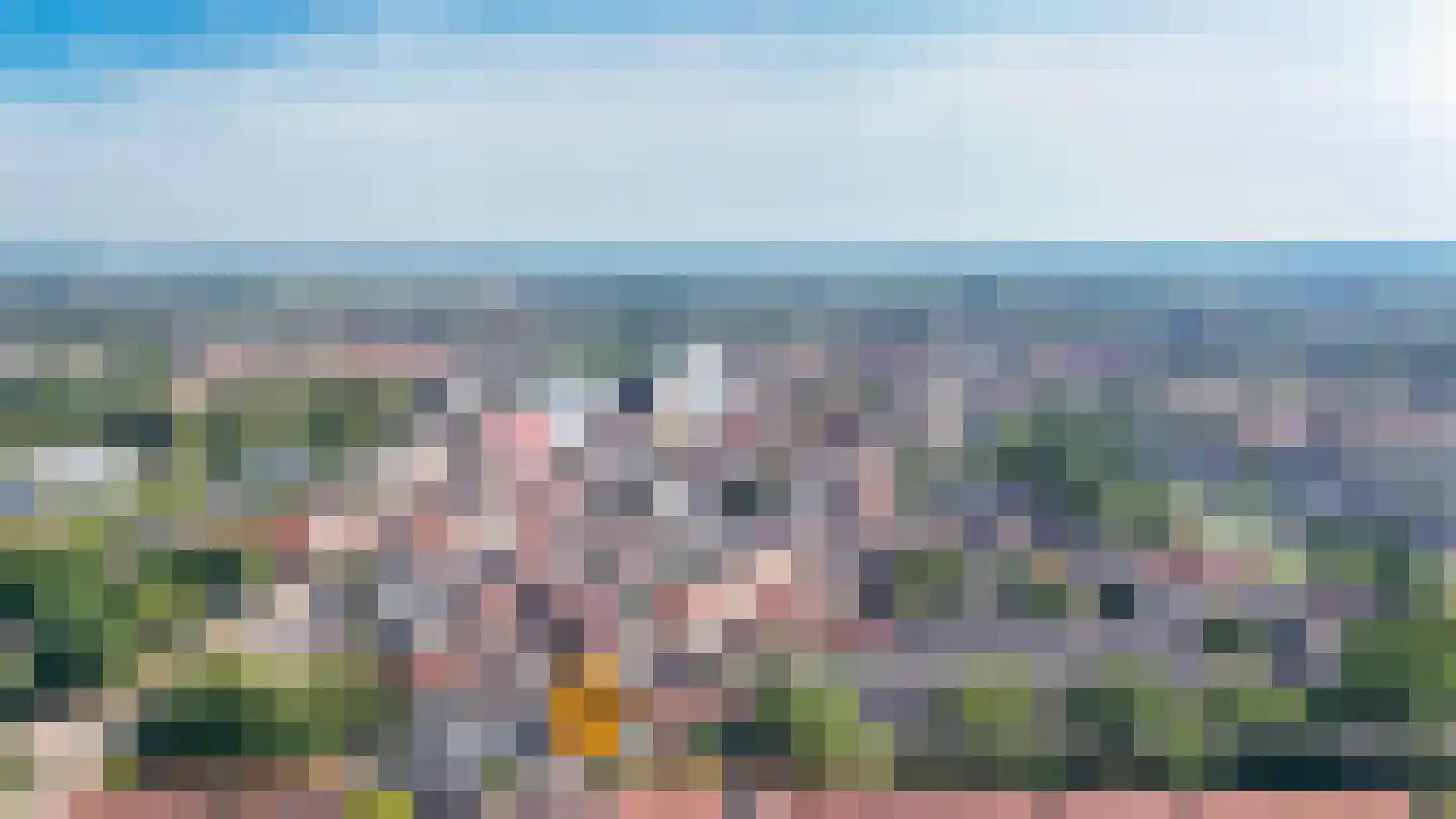 Lange Havendijk 2 Culemborg thumbnail 51
