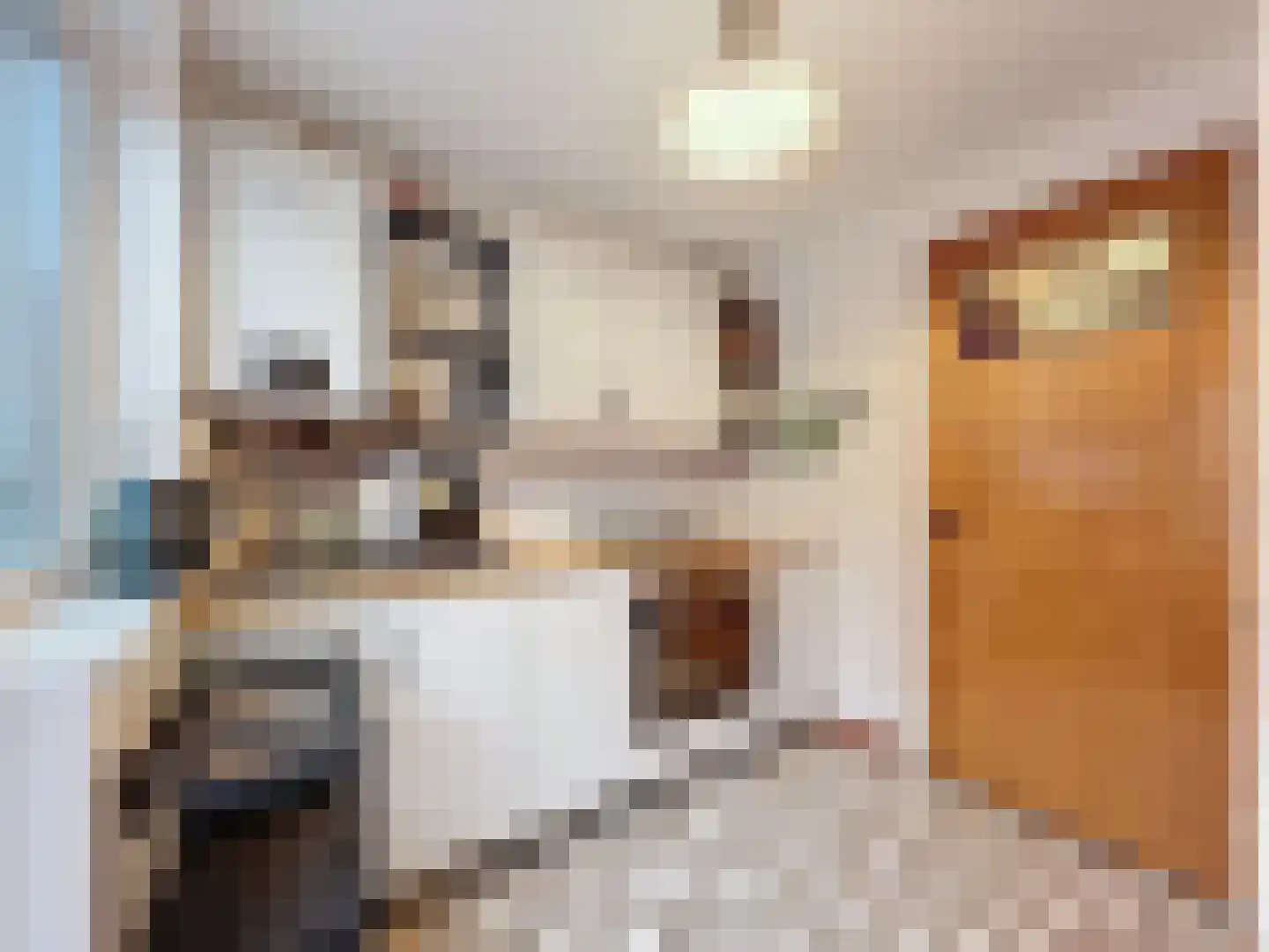 Lange Heerenstraat 7 Schoondijke thumbnail 12