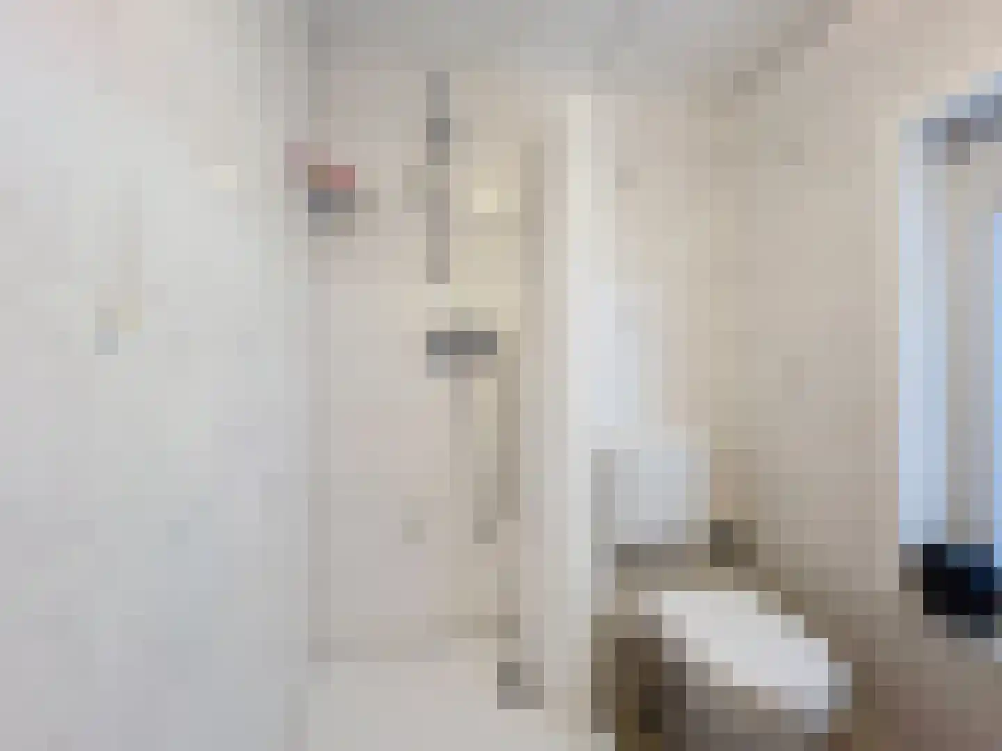 Lange Heerenstraat 7 Schoondijke thumbnail 20