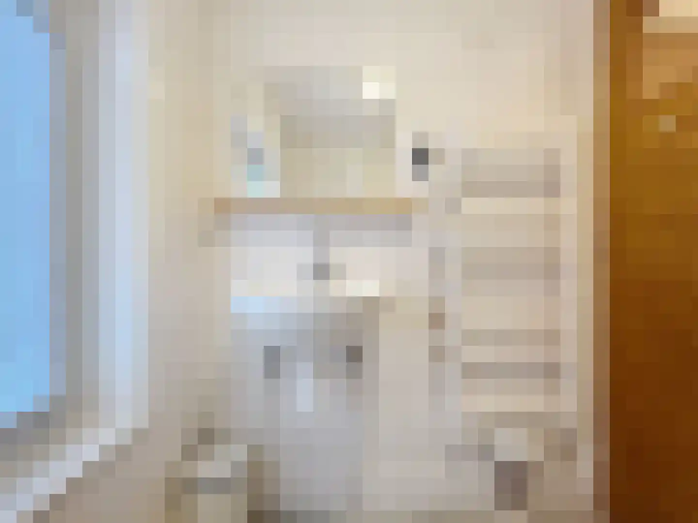 Lange Heerenstraat 7 Schoondijke thumbnail 21