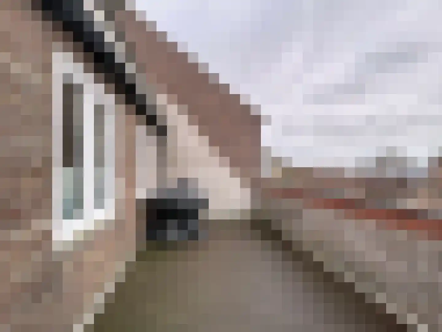 Lange Heerenstraat 7 Schoondijke thumbnail 22