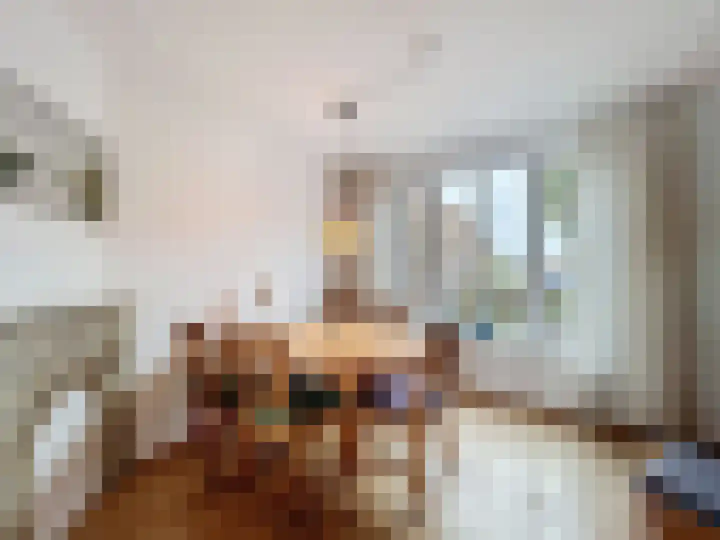 Lange Heerenstraat 7 Schoondijke thumbnail 8