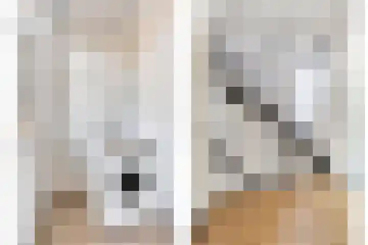Lange Heerenstraat 9 Schoondijke thumbnail 14