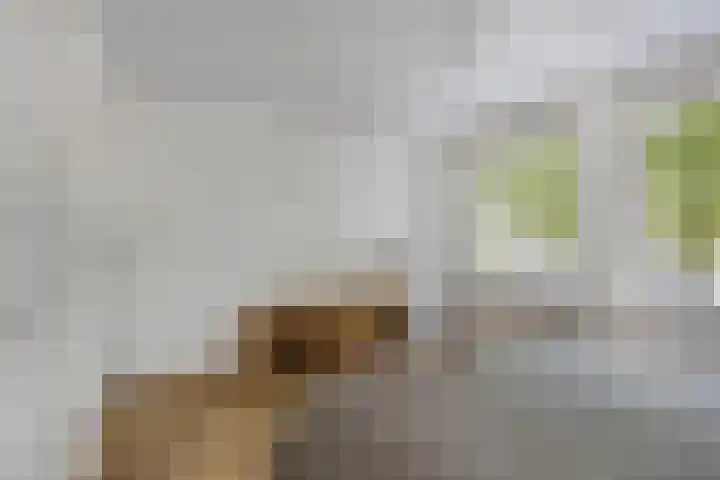 Lange Heerenstraat 9 Schoondijke thumbnail 18