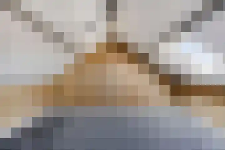 Lange Heerenstraat 9 Schoondijke thumbnail 24