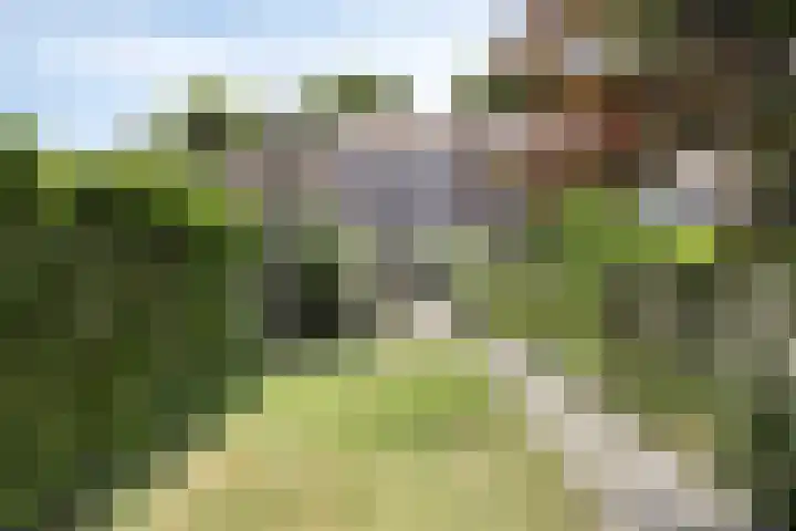 Lange Heerenstraat 9 Schoondijke thumbnail 28