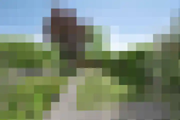 Lange Heerenstraat 9 Schoondijke thumbnail 29