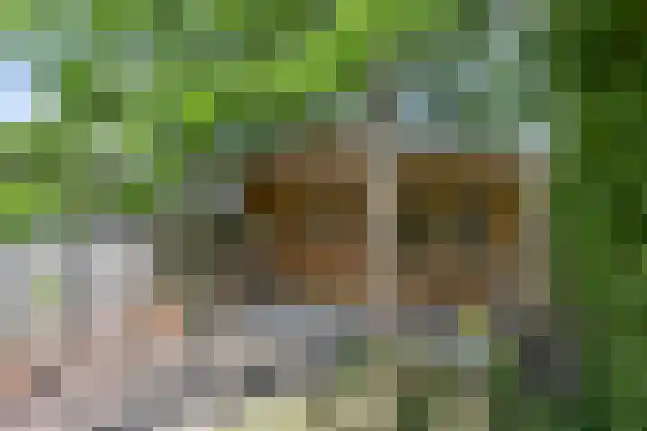 Lange Heerenstraat 9 Schoondijke thumbnail 30