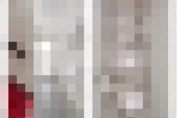 Lange Heerenstraat 9 Schoondijke thumbnail 6