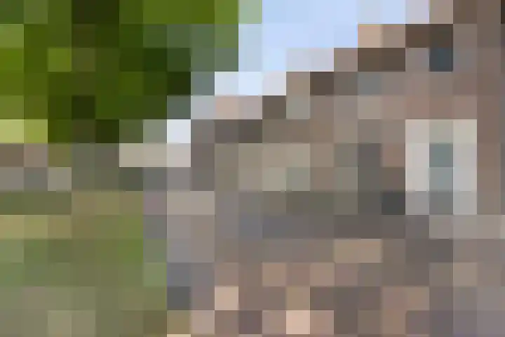 Lange Heerenstraat 9 Schoondijke thumbnail 7