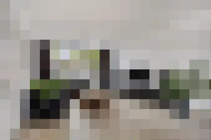 Lange Heerenstraat 9 Schoondijke thumbnail 8